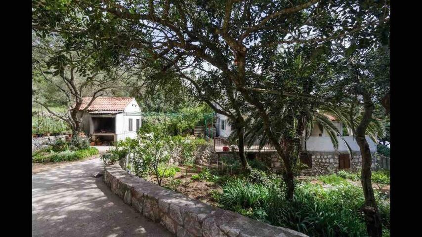 Villa Franic サプルナラ エクステリア 写真